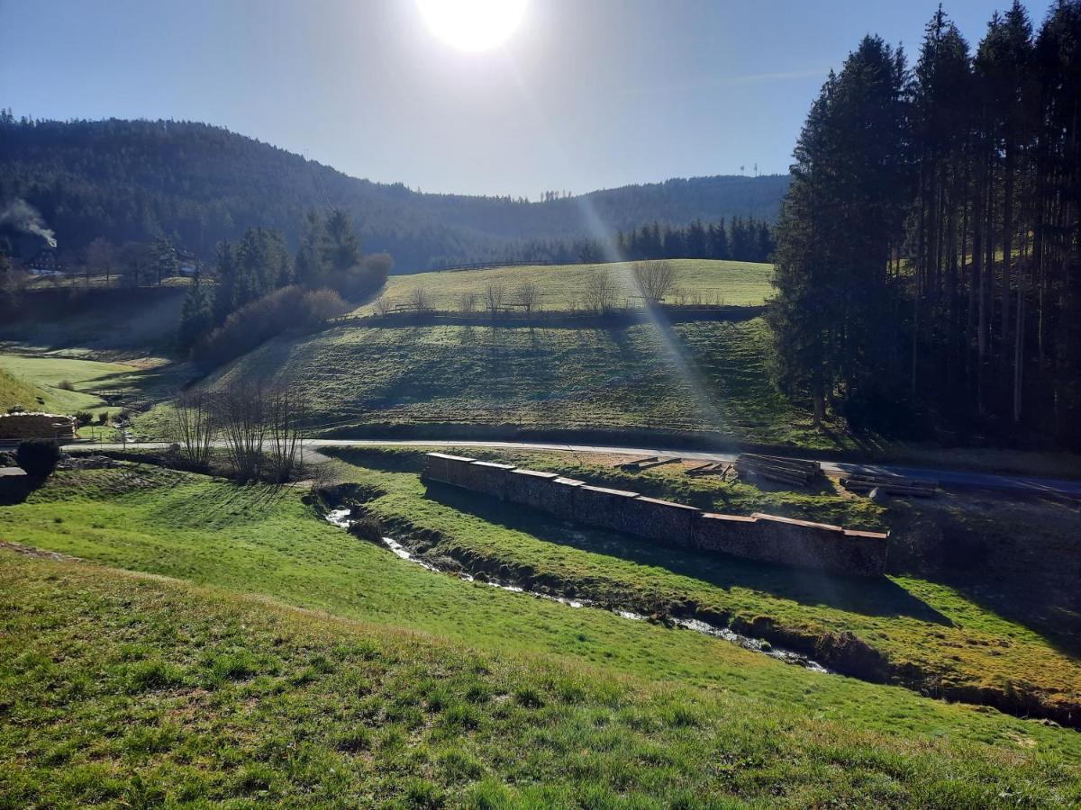 Ferienwohnung Sprauer Baiersbronn Bagian luar foto